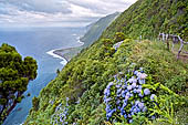 Azzorre, Isola Sao Jorge - Miradouro da Faj dos Cubres. 